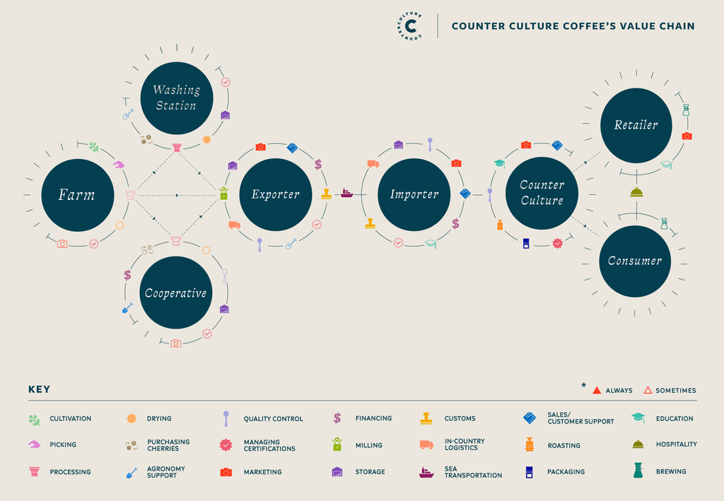 Illustration showing our value chain from farm to cup.