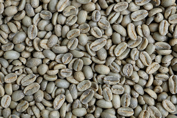 Photo of unroasted green coffee.