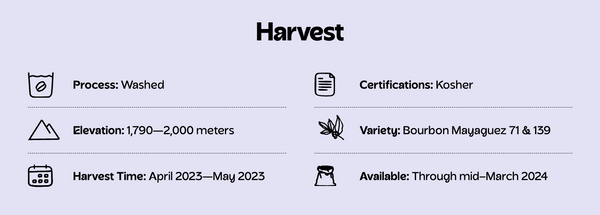 Screenshot showing the Harvest section of a Single-Origin coffee
