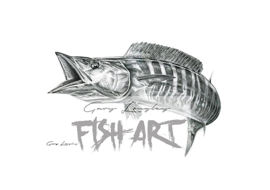 wahoo fish art