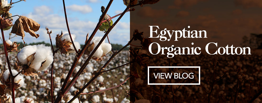 What is Organic Cotton?  Organic Cottons FAQS – Foxology Clothing