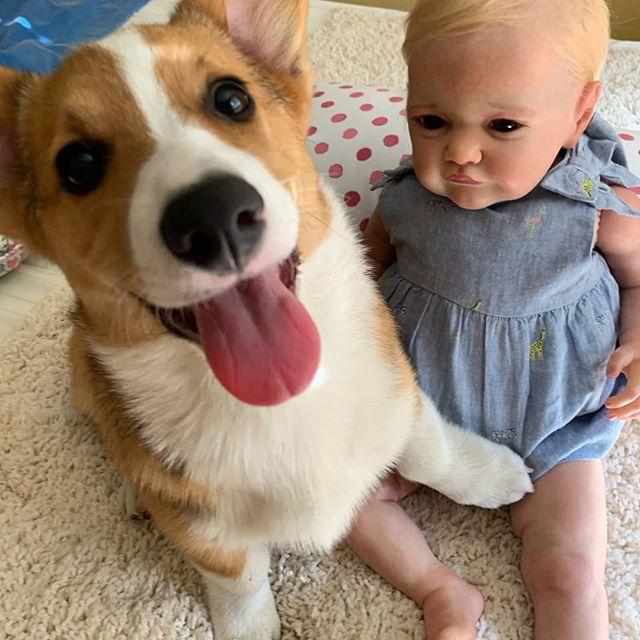 reborn baby dogs