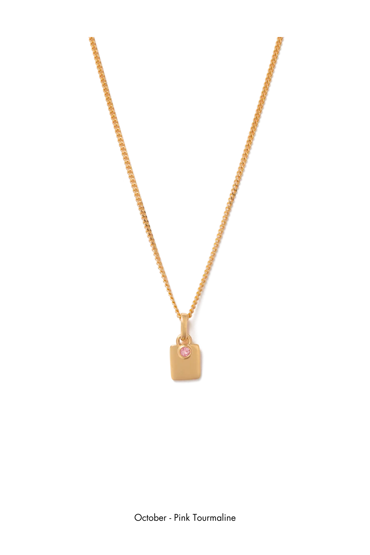 Kirstin Ash Engravable Birthstone Necklace - Gold