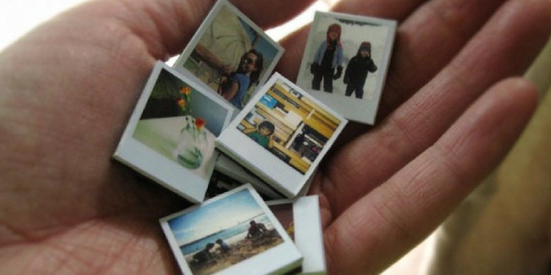 magnets wedding favors