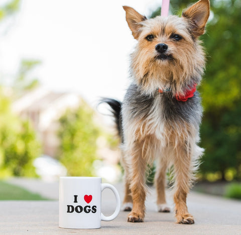 Dog coffee mug from generatoarekipor women's boutique in Poland City 