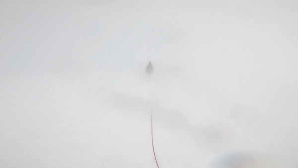 A mountaineer at the end of a rope is barely visible in a whiteout. 