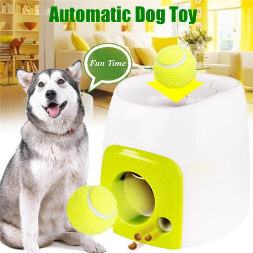 dog ball throwing machine