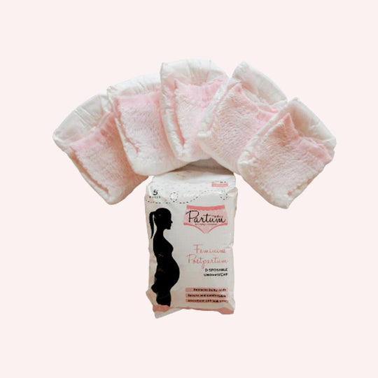 Carmesi Disposable Period Panties  AllNight Protection  Maternity  Panties Sanitary Pad  Buy Women Hygiene products online in India   Flipkartcom