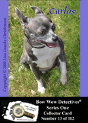 Electronic Photo Traders™ | Carlos | Bow Wow Detectives®