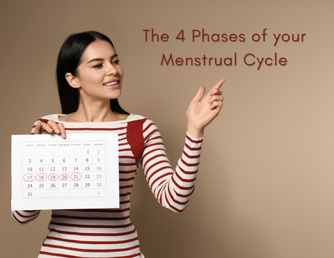 The 4 Phases of Your Menstrual Cycle