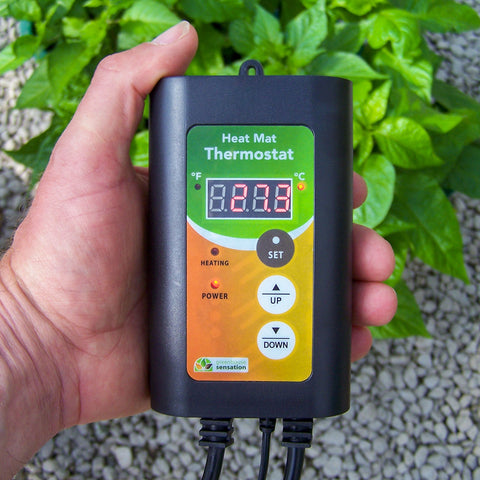 Biogreen Thermo 2 Digital Greenhouse Thermostat with Summer/Winter Function