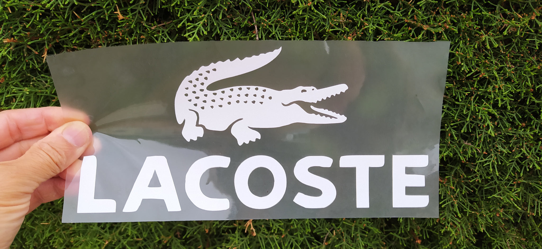 lacoste iron on logo