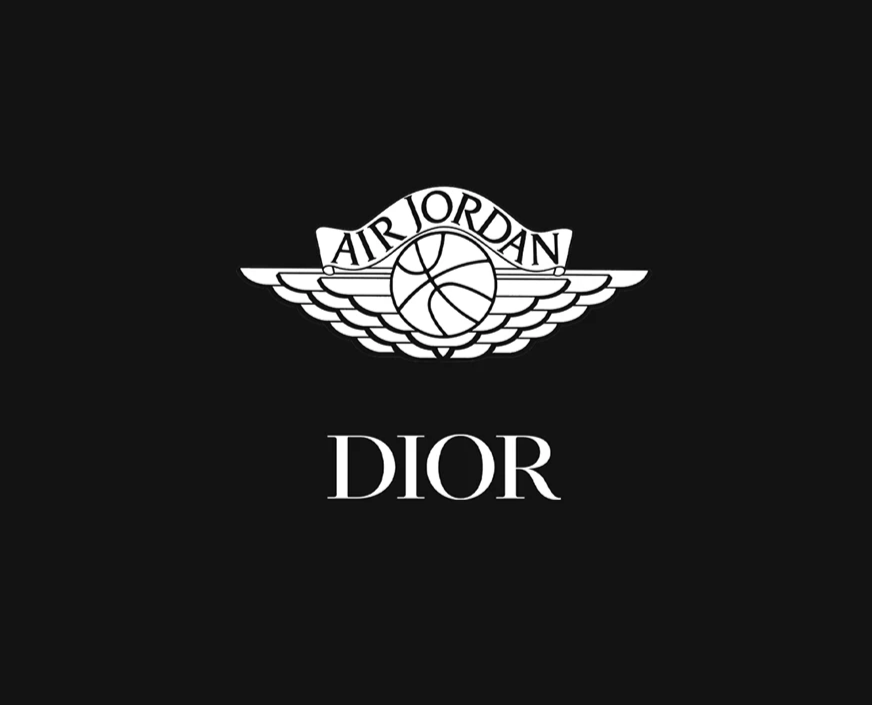 dior jordan logo