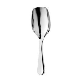 Metallic Evolution Stainless Steel Serving Utensils Ice Cream