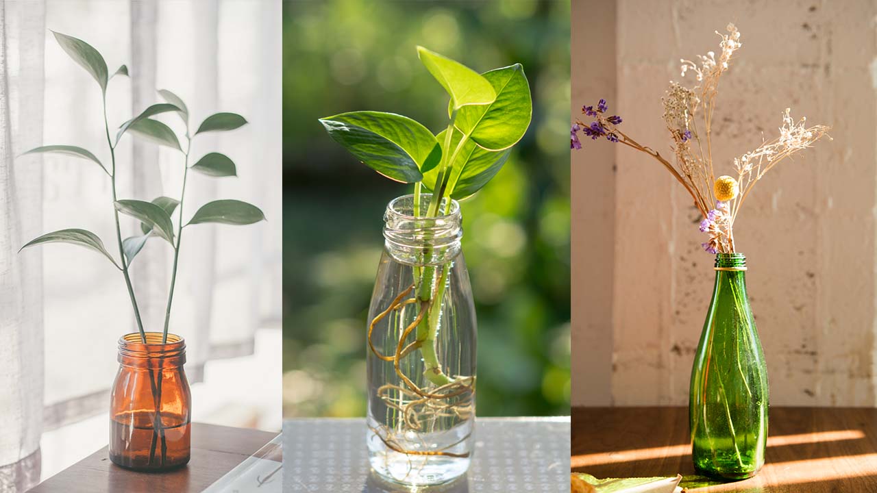 Vasos para decoração com plantas