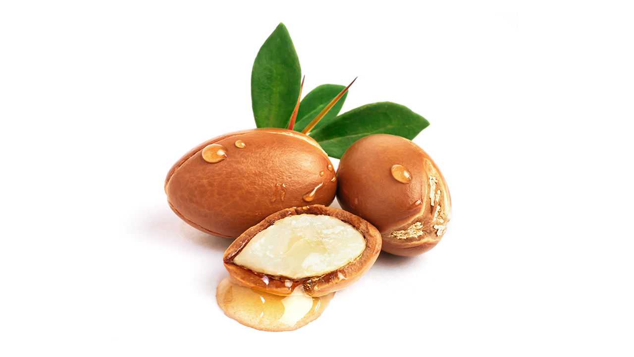 Sementes da noz do óleo de argan