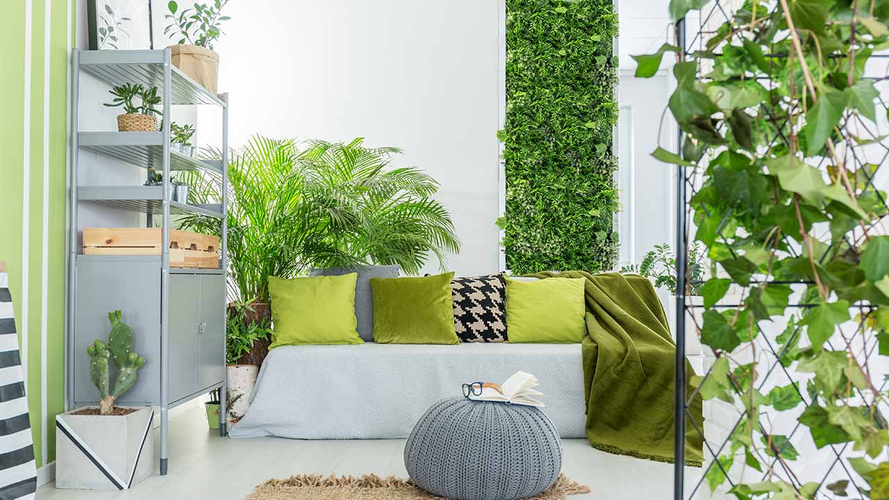 Decoração com plantas com parede verde