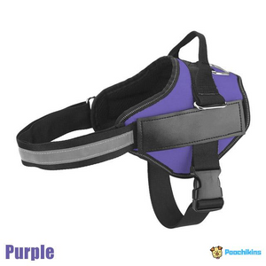 Customized No-Pull Dog Harness