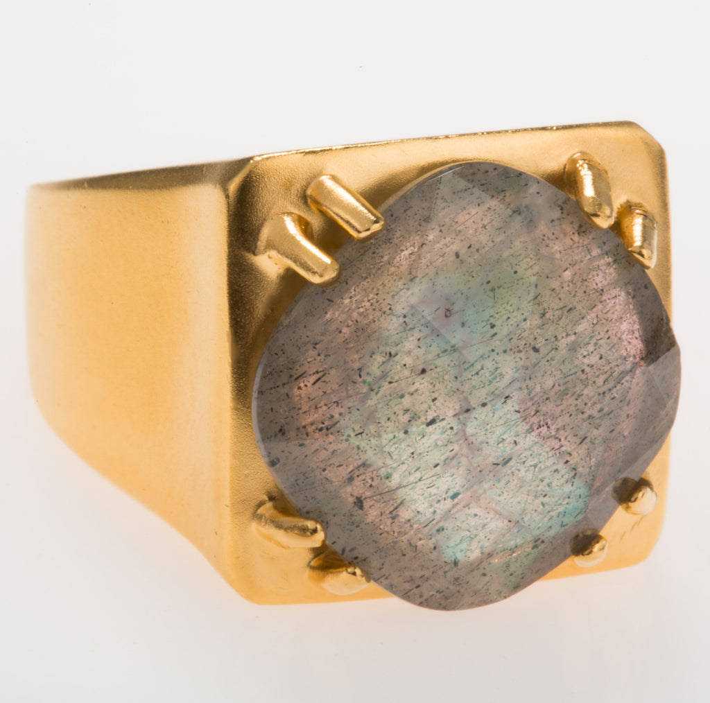 Tortuga Labradorite Ring – Van H. Jewelry