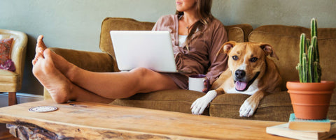 E-commerce : comment créer un programme de fidélisation client rentable