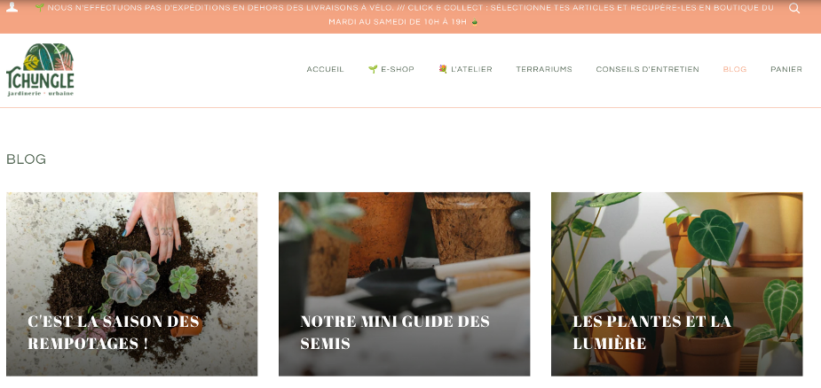 Exemple blog e-commerce Tchungle