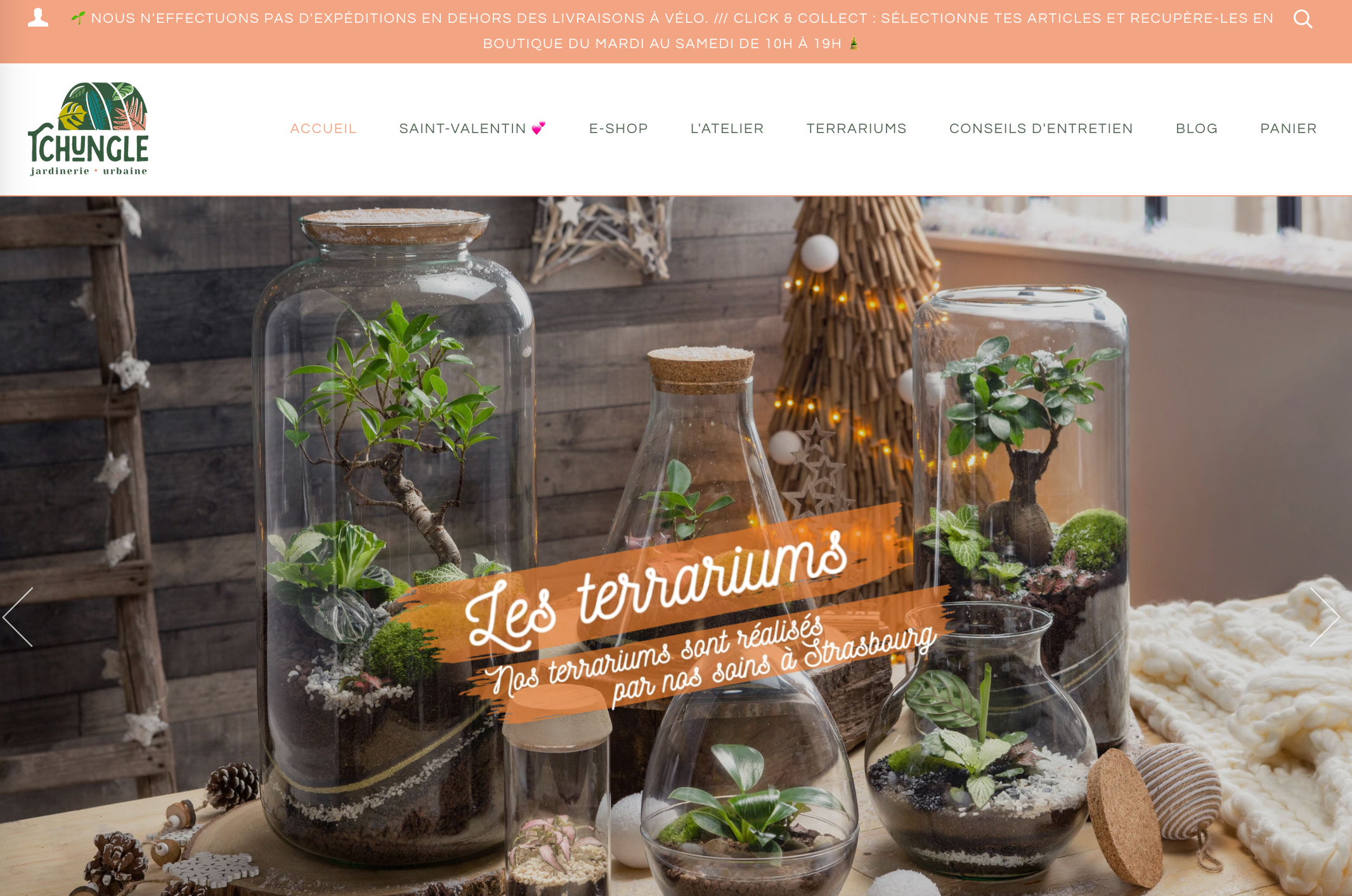 Boutique en ligne - Tchungle