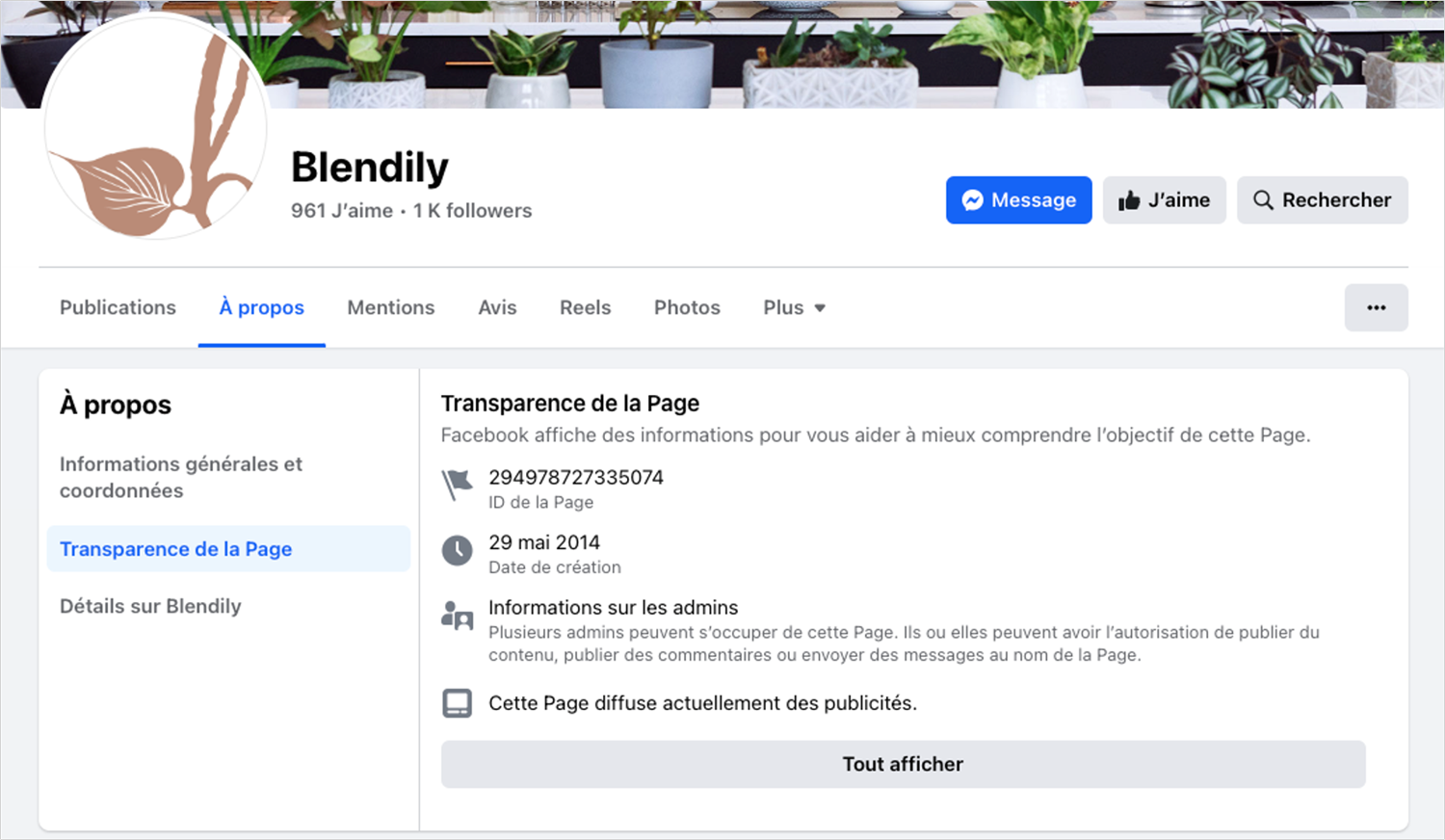 Transparence de la page blendily