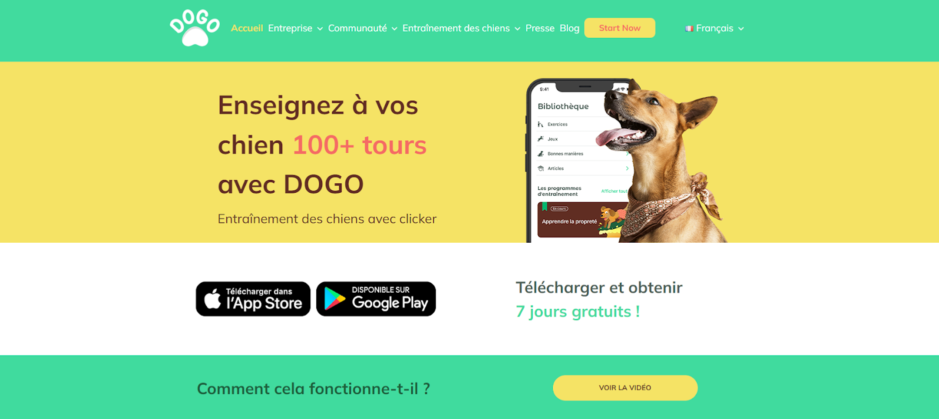 site dogo