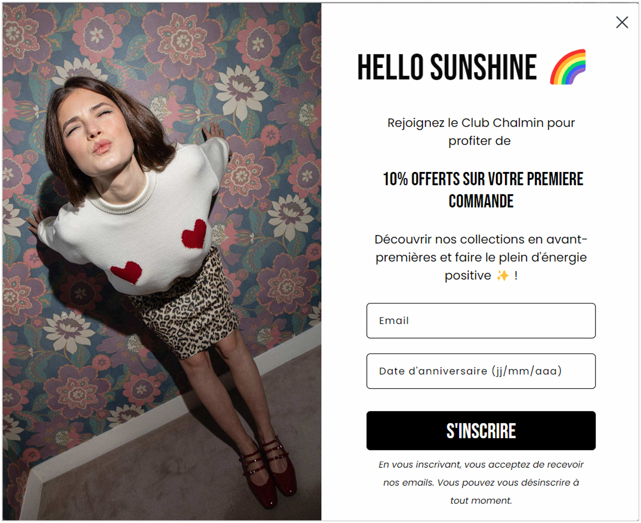 Exemple de pop-up de recueil d'e-mails sur le site elisechalmin.com