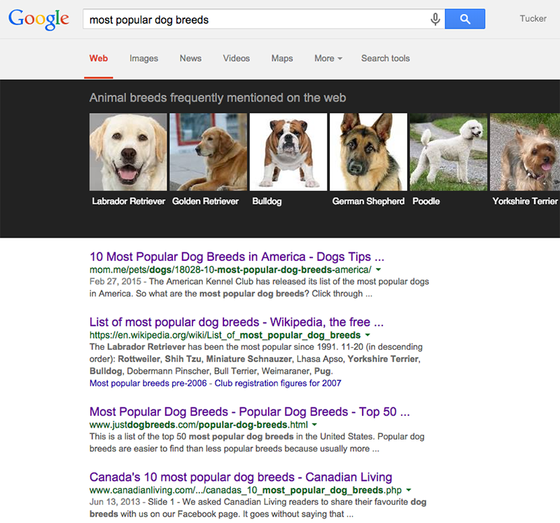 google-races-chiens-populaires