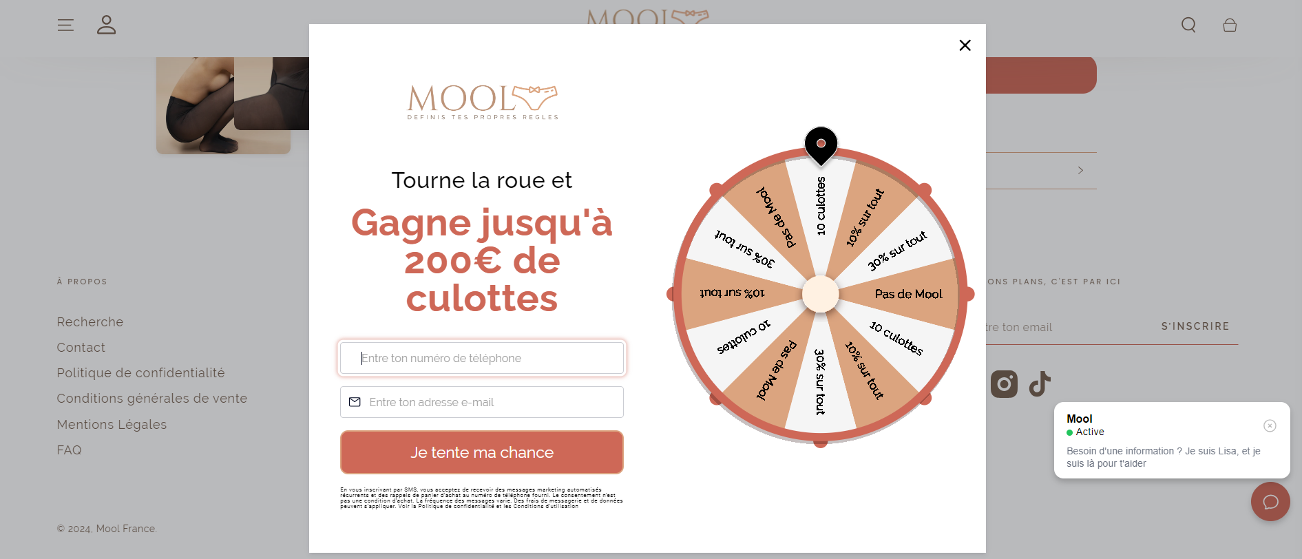 Exemple d’un jeu marketing “roue de la fortune” sur le site Mool