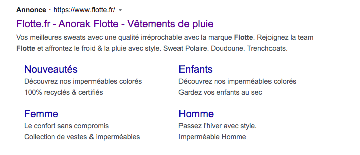 Publicité Flotte Google Ads 