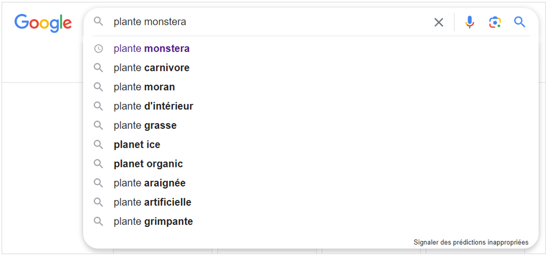 recherches connexes pour "plante monstera" dans google