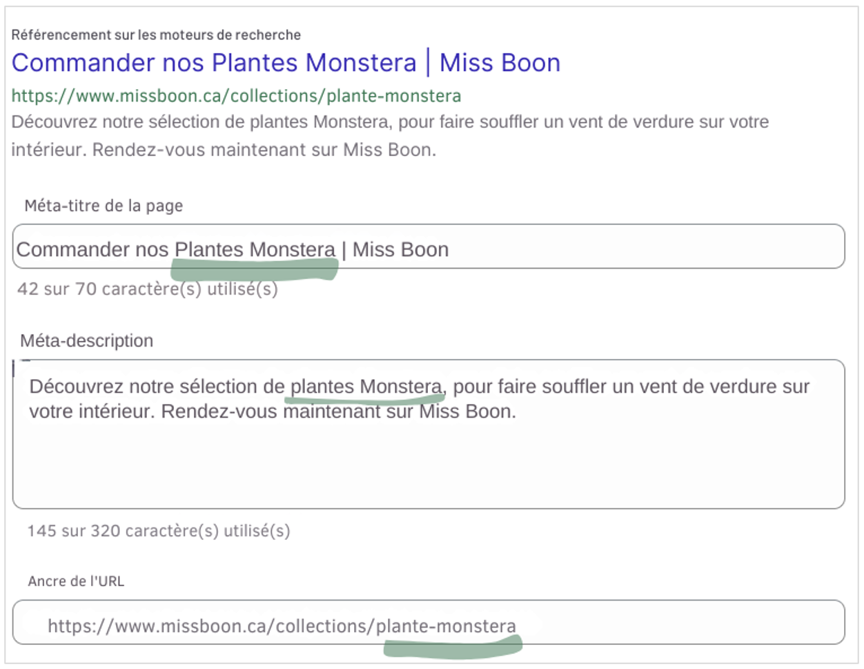 optimisation du seo sur shopify