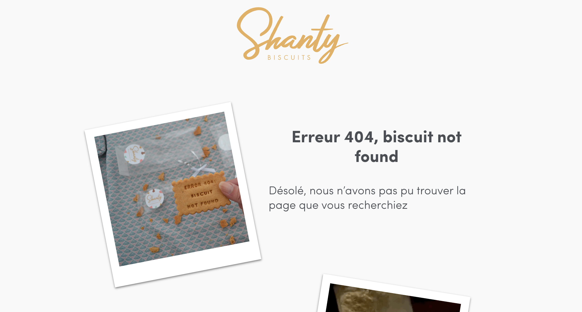Page erreur 404 Shanty Biscuit