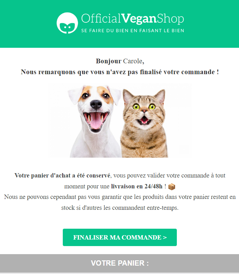 exemple e-mail Official Vegan Shop