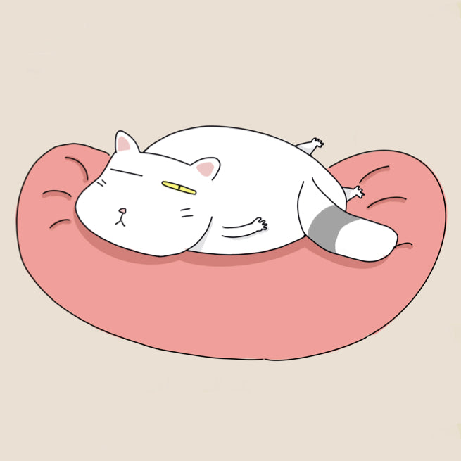 Fuku Fuku Cat Back Support Pillow – Petites Paws