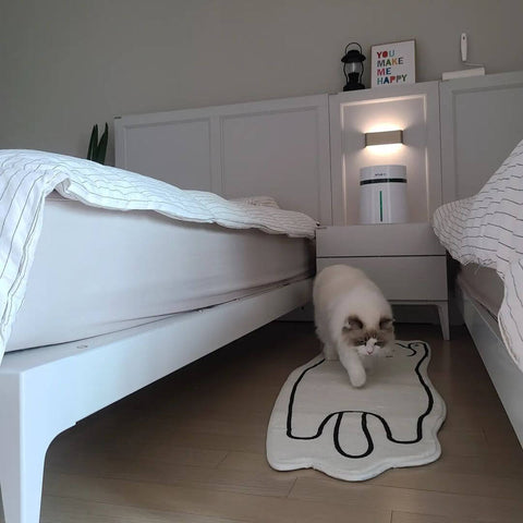 White Cat Belly Rug