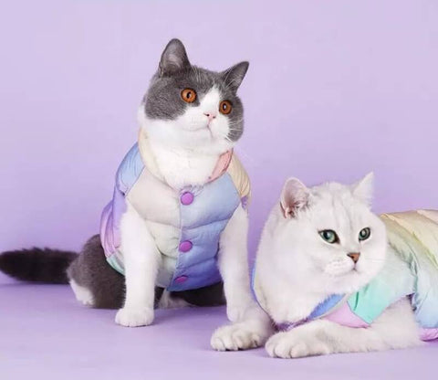 Pastel Party Puffer Winter Jacket for Cats