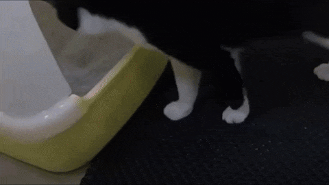 Double Layer Waterproof Cat Litter Mat – Petites Paws