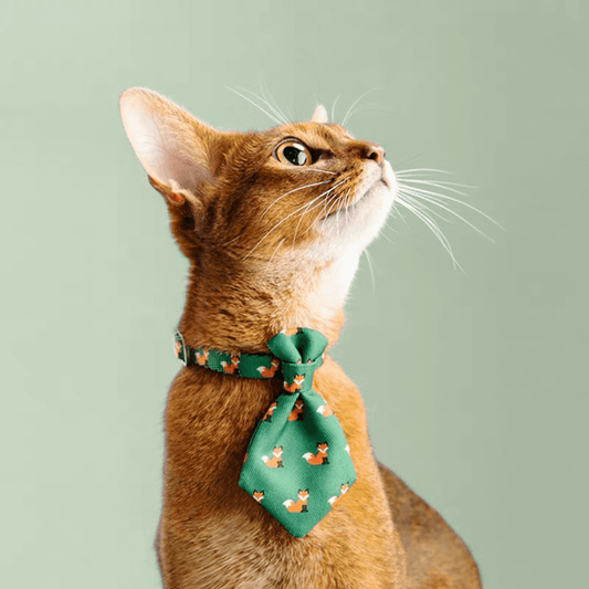 Designer Glitter Cat Neck Tie — Buckminster's Cat Cafe