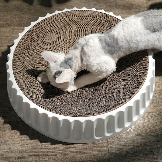 White Cat Belly Rug