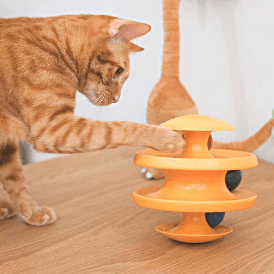 Cat Automatic Feeder Toy  Stylish Pet Treat Shaker Ball Dispenser –  CatCurio Pet Store