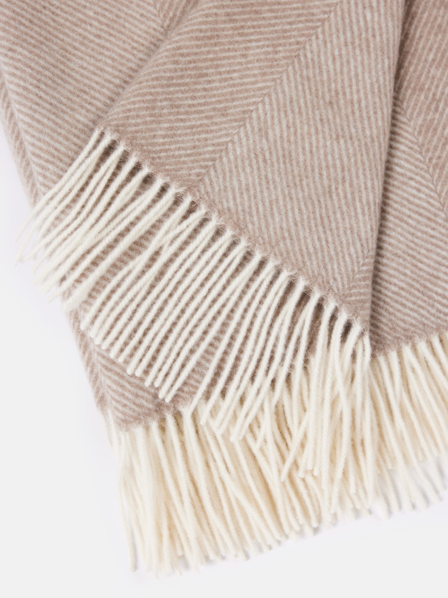 Gobi cashmere