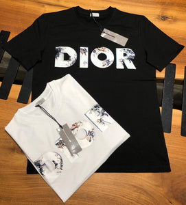 dior x daniel