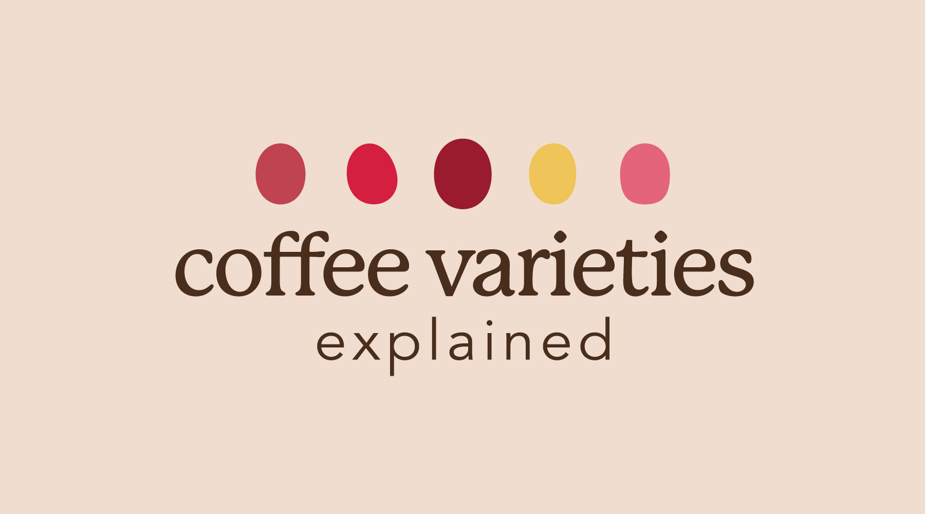coffee varieties explained