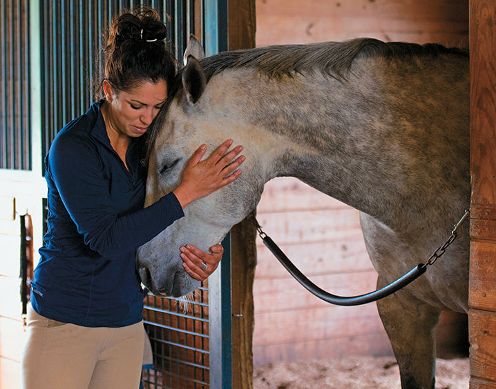 BloodHorse 2020 Wall Calendar BloodHorse Books & Products