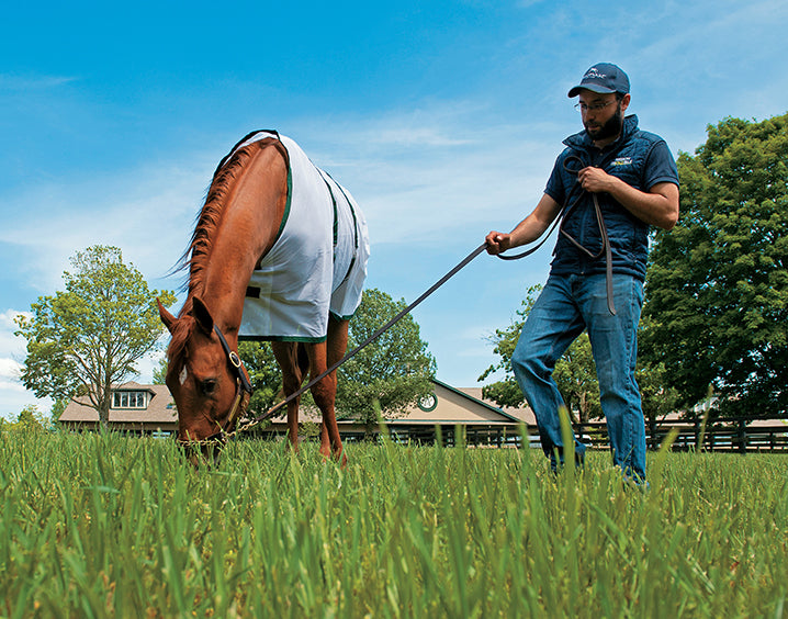 BloodHorse 2020 Wall Calendar BloodHorse Books & Products