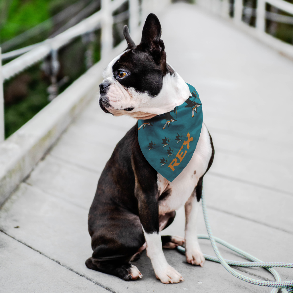 san jose sharks dog jersey