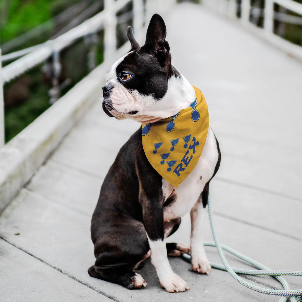 st louis blues dog jersey